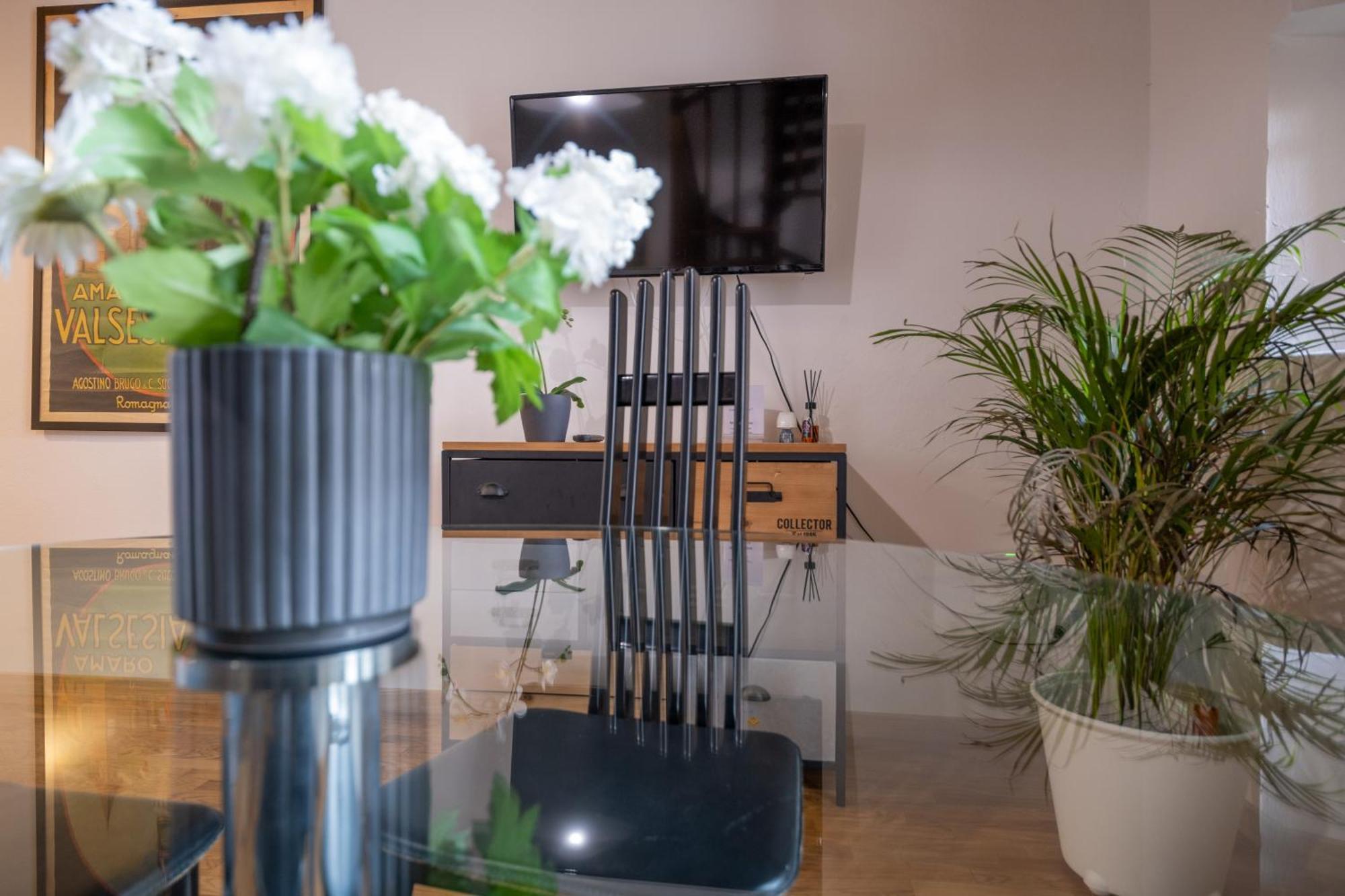 Lungarno Buozzi 7 Apartments Pisa Eksteriør billede